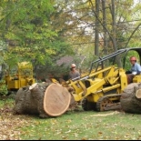 tree cutting